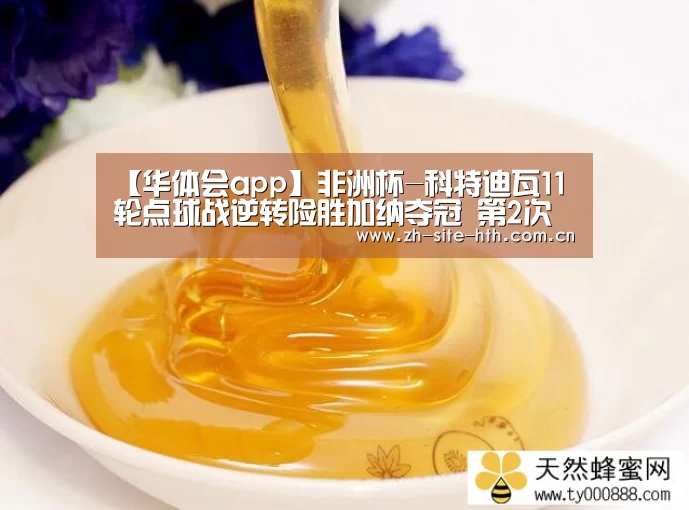 【华体会app】非洲杯-科特迪瓦11轮点球战逆转险胜加纳夺冠 第2次夺杯