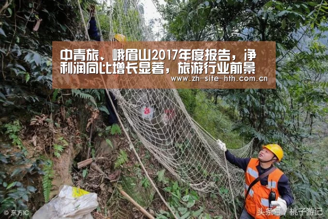 华体会app