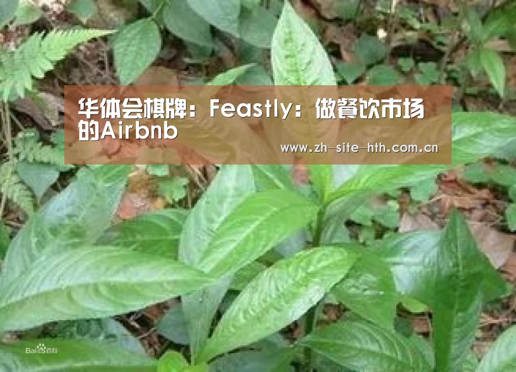 hth中国