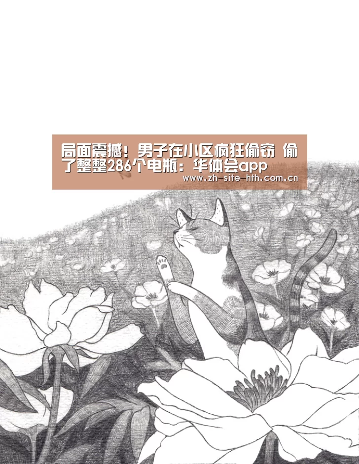 hth平台